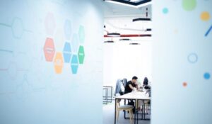 Agile Offshore Development Services